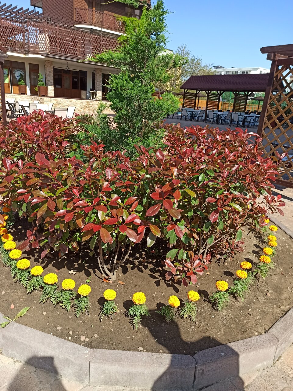 Гостиница Эмеральд Витязево-252