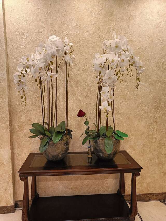 Гостиница Эмеральд Витязево-209