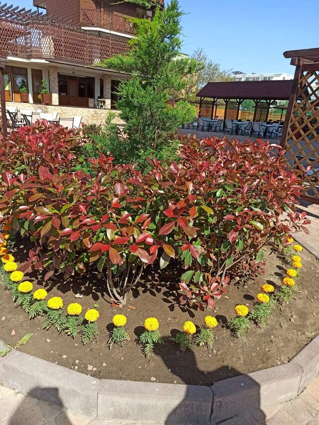 Гостиница Эмеральд Витязево-251